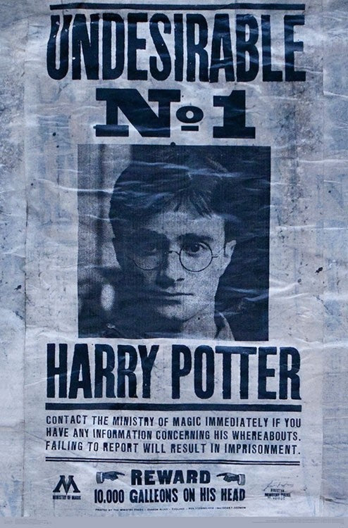 Harry Potter Undesirable Poster