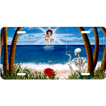 Sunshine Daydream License Plate AIM
