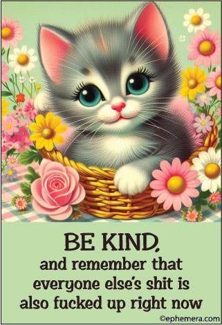 Be Kind And Remember That Everyone Else's Shit Is Also Fucked Up Right Now Magnet