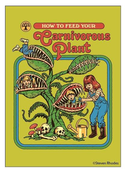 How to feed your Carnivorous Plant Magnet
