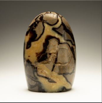 Septarian Stalagmite Freeform