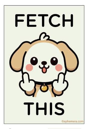 Fetch This Magnet