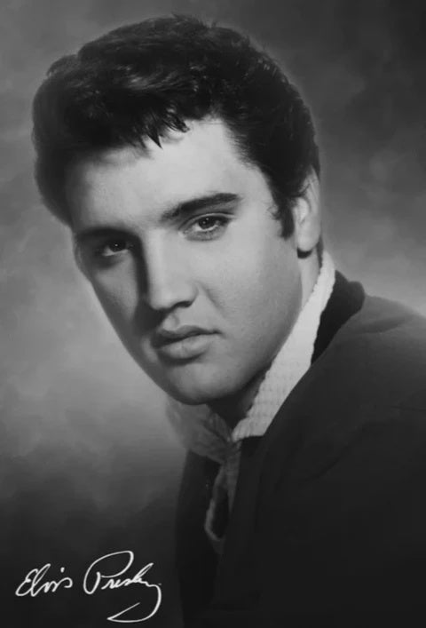 Elvis Presley Poster- The King