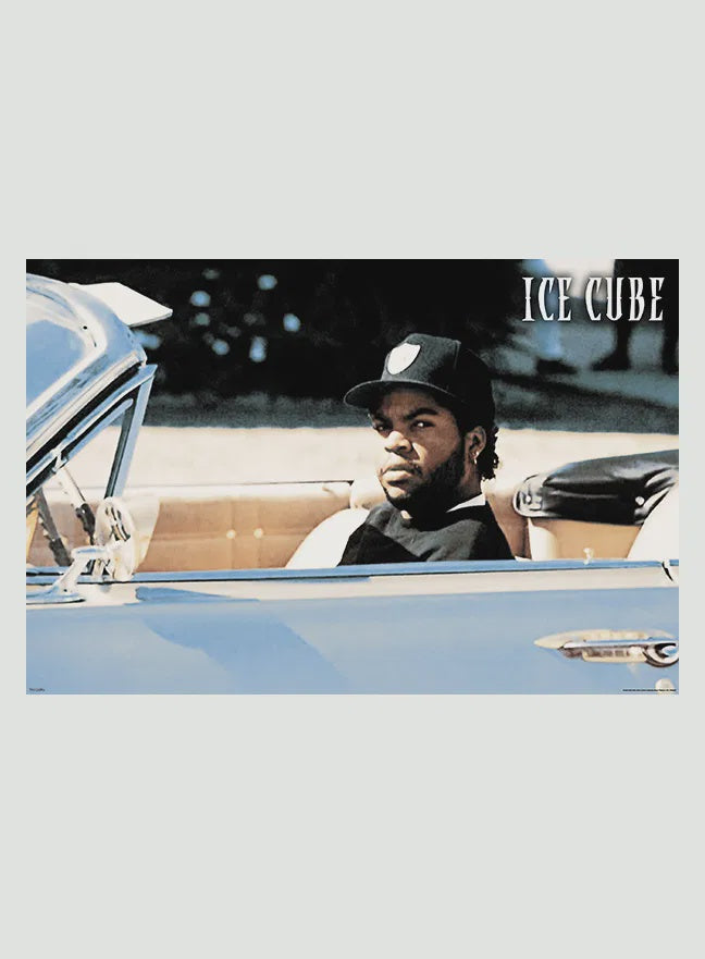 Ice Cube Poster - Convertible