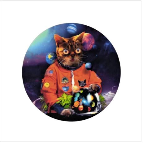 Silicone Mat Design - Space Cat