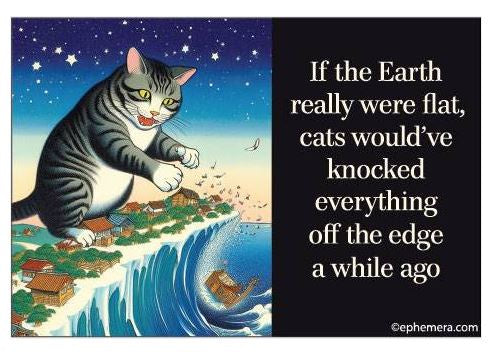 If the earth really were flat cats Magnet