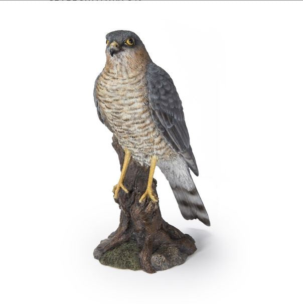 Sparrow Hawk Statue 14875