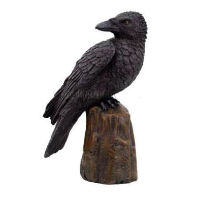 Raven Statue 8731