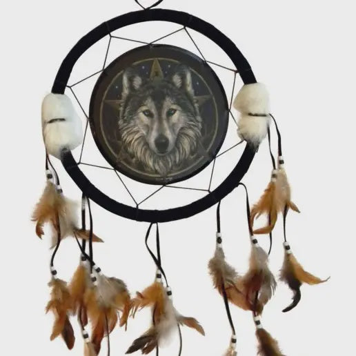 Lisa Parker Dreamcatcher 2406