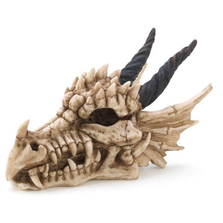 XL Dragon Skull Showpiece Statue