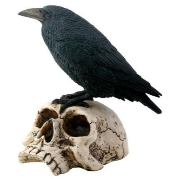 Raven on Skull Statue Y7727
