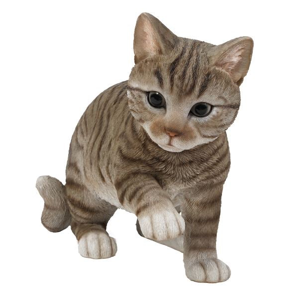 American Shorthair Cat Statue 12474