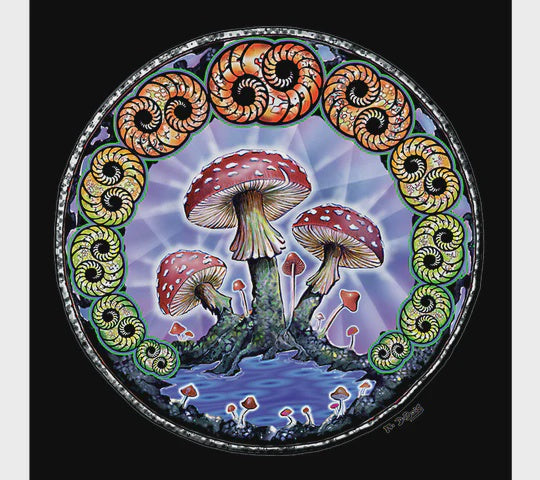 Mushroom 2000 by Mike DuBois - Print
