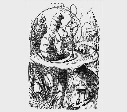Alice & Caterpillar by Mike DuBois - Print
