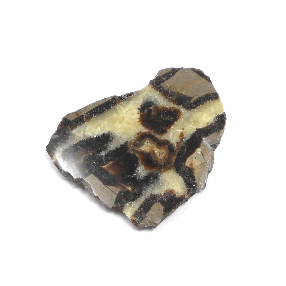 Septarian Slab - 2" Polished Face