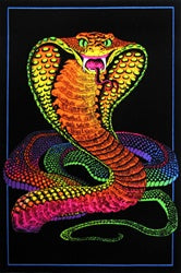 Cobra Black Light Poster- BL2 A20