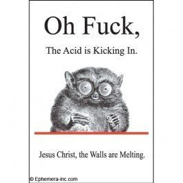 Oh Fuck, The Acid is Kicking In - Funny Magnet