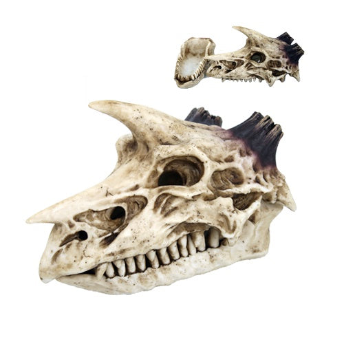 Dragon Skull Incense Box