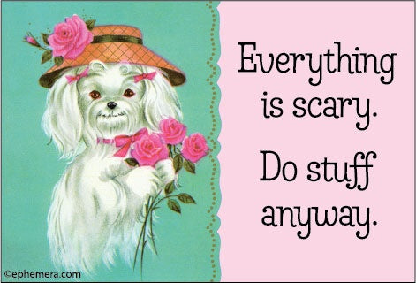Everything Is Scary. Do Stuff Anyway Magnet