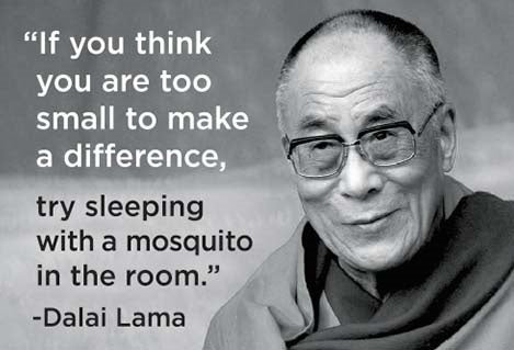 Dalai Lama Mosquito Quote Magnet