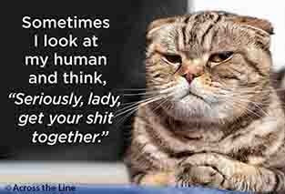 Sometimes I look at my human - Magnet