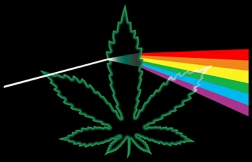 Pot Leaf Prism Blacklight Poster