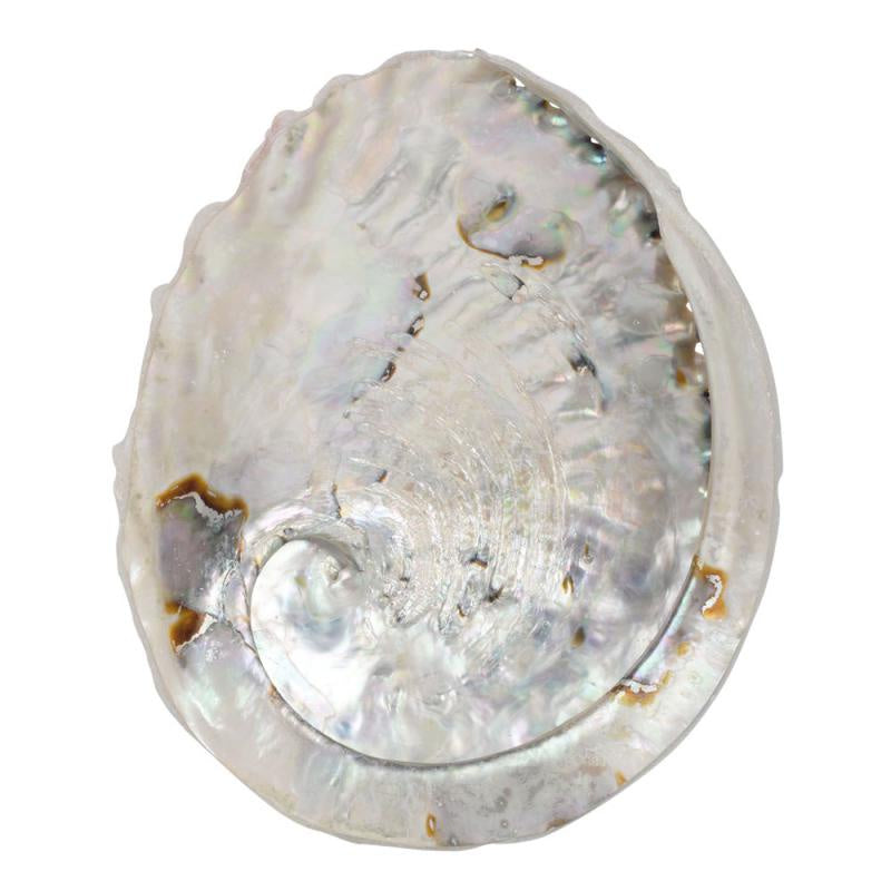 Wolf Spirit Sage Abalone Shells - BI