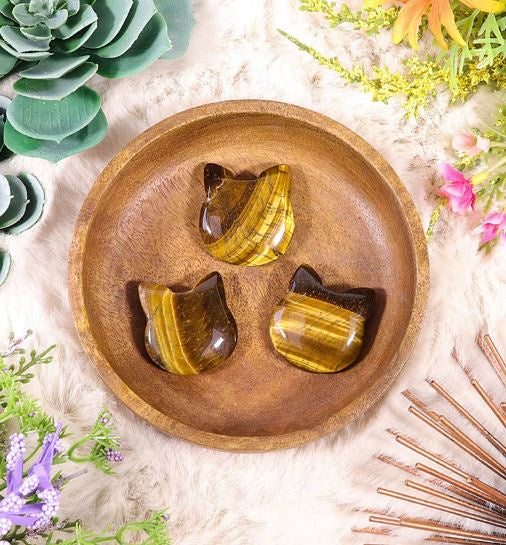 Nature's Artifacts - Tigers Eye Kitty Face