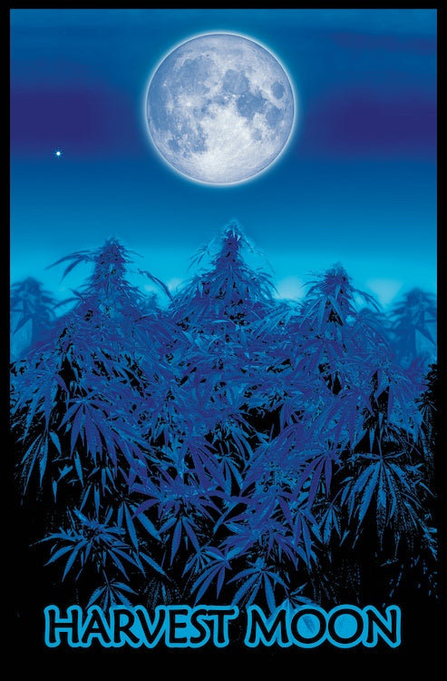 Harvest Moon Blacklight Poster- BL1 B9