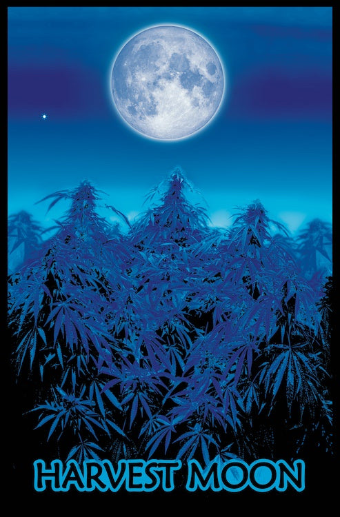 Harvest Moon Blacklight Poster