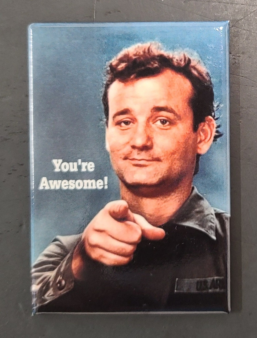 You're Awesome Bill Murray Magnet