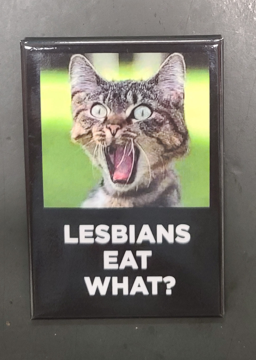 Lesbians Eat What? Magnet