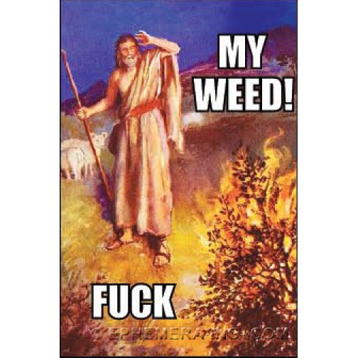 MY WEED! FUCK Magnet