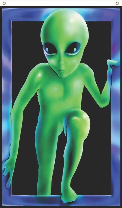 Alien Visitor Black Light Fly Flag