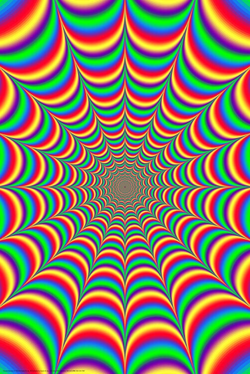 Fractal Illusion 2.0 Poster