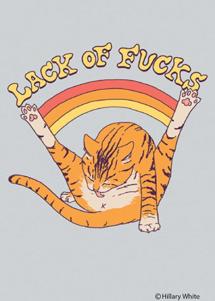Lack of Fucks Cat - Funny Magnet