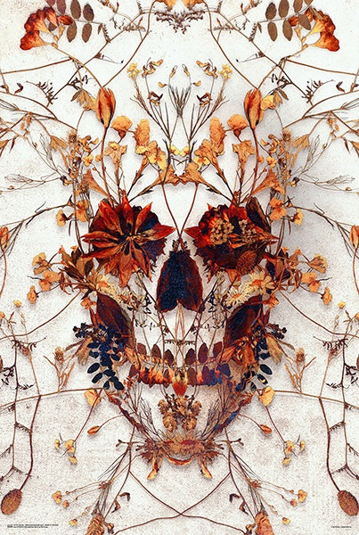 Delicate Skull Poster