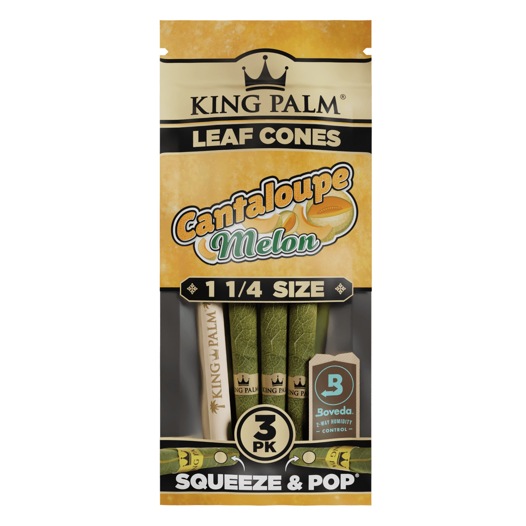 King Palm 3pk 1 1/4 - Cantaloupe Melon