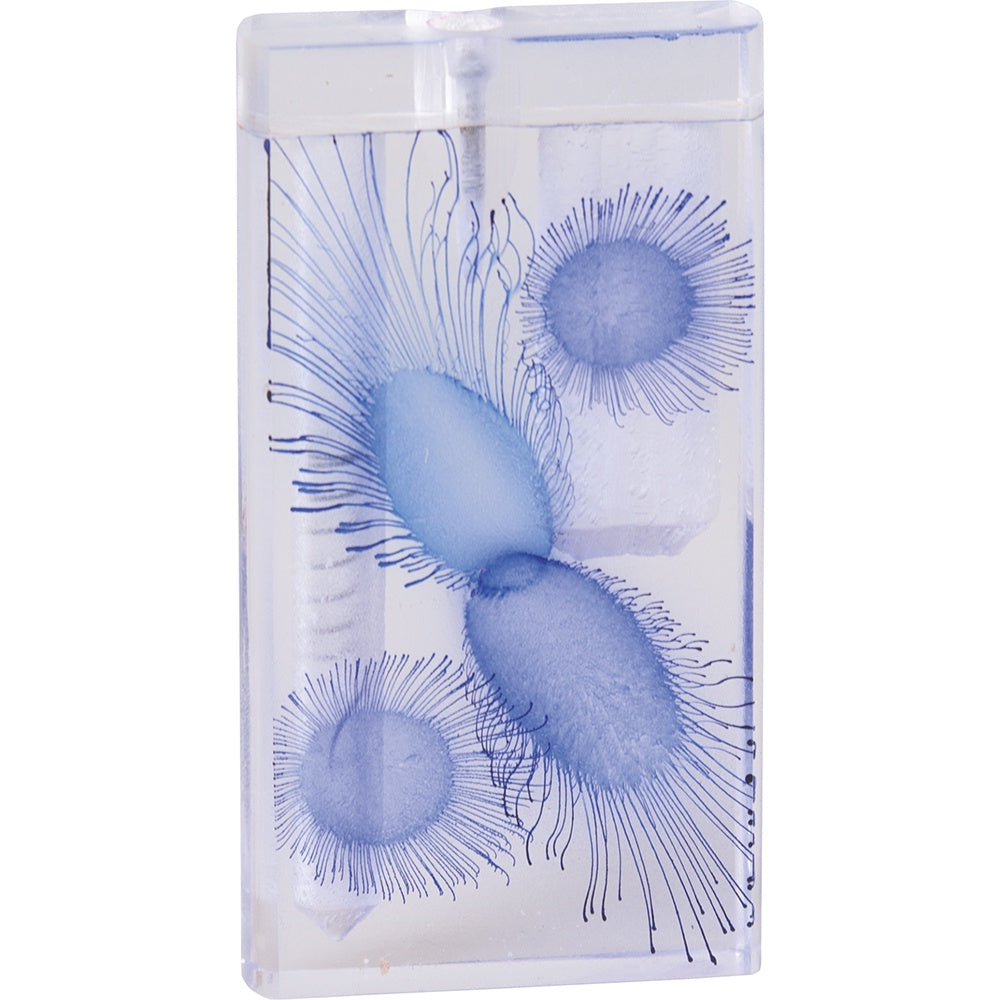 Large Acrylic Smoke Stopper Dugout TT79