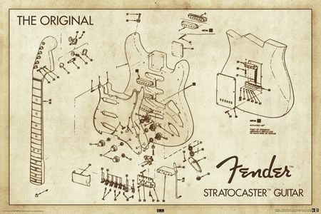Fender Stratocaster Diagram Poster