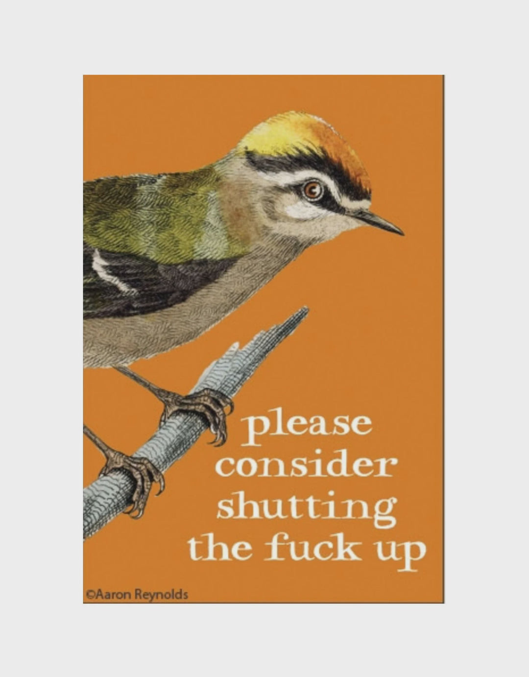 Consider Shutting the Fuck Up Magnet