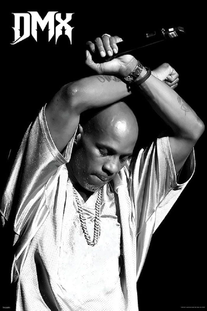 DMX Concert Poster
