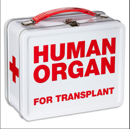Human Organ Lunch Box