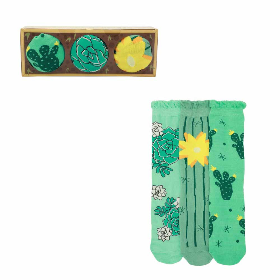 succulent socks Desert Cacti & Flowers Women's 3-Pair Casual Crew Socks-OSFA