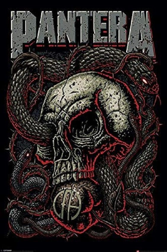 Pantera Skull Poster