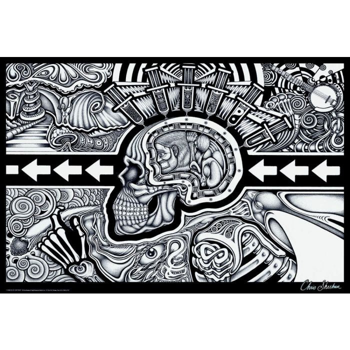 Conscious Existence Poster – Penny Lane Gifts