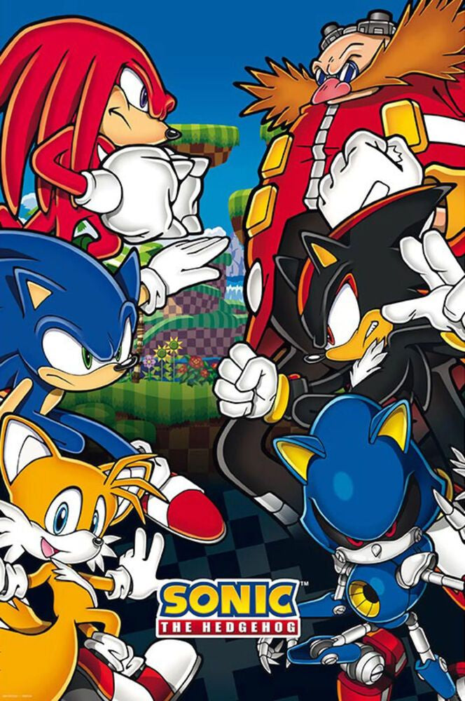 Sonic Vs Dr. Eggman Poster