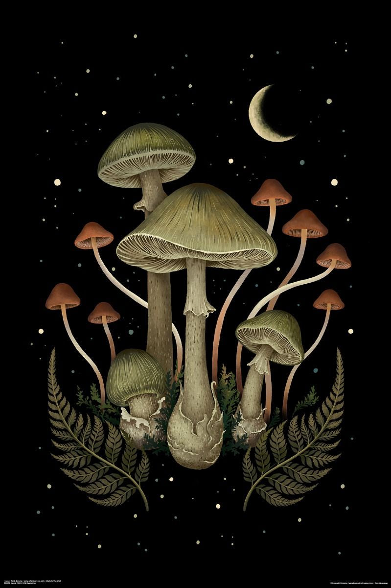 Mushroom Midnight Poster