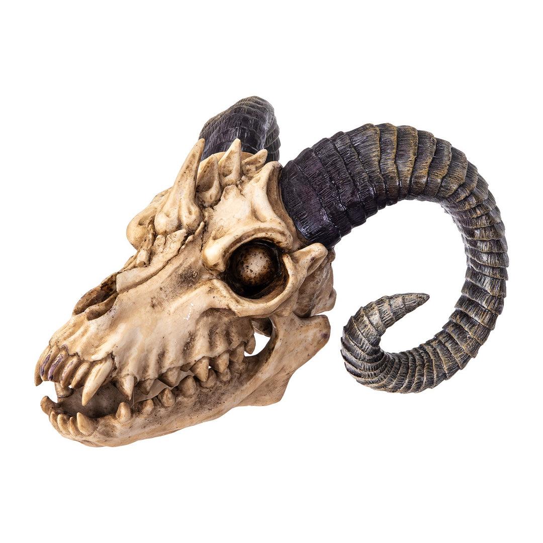 The Beast Skull Statue 16486