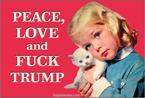 Peace Love and Fuck Trump Magnet